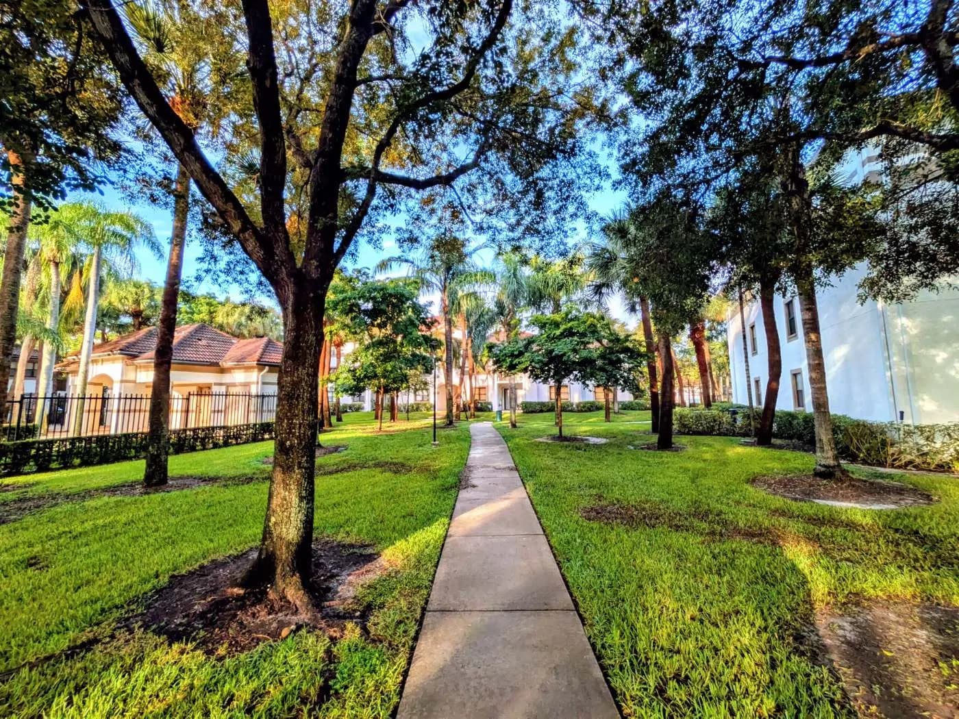 Walkway under oak trees at Hollywood Parc