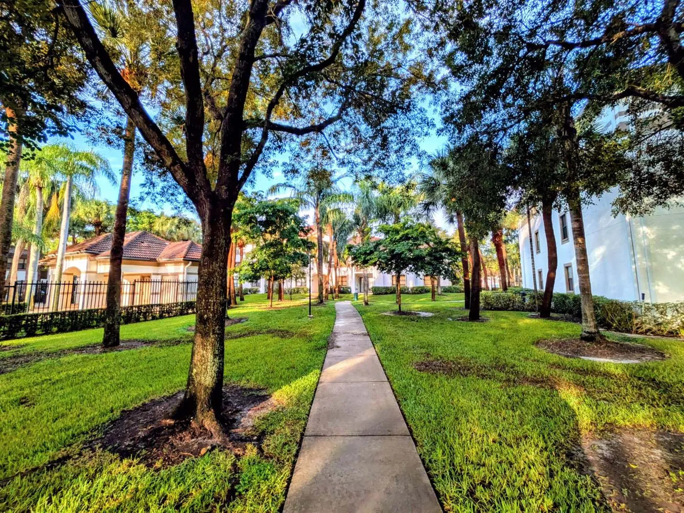 Walkway under oak trees at Hollywood Parc